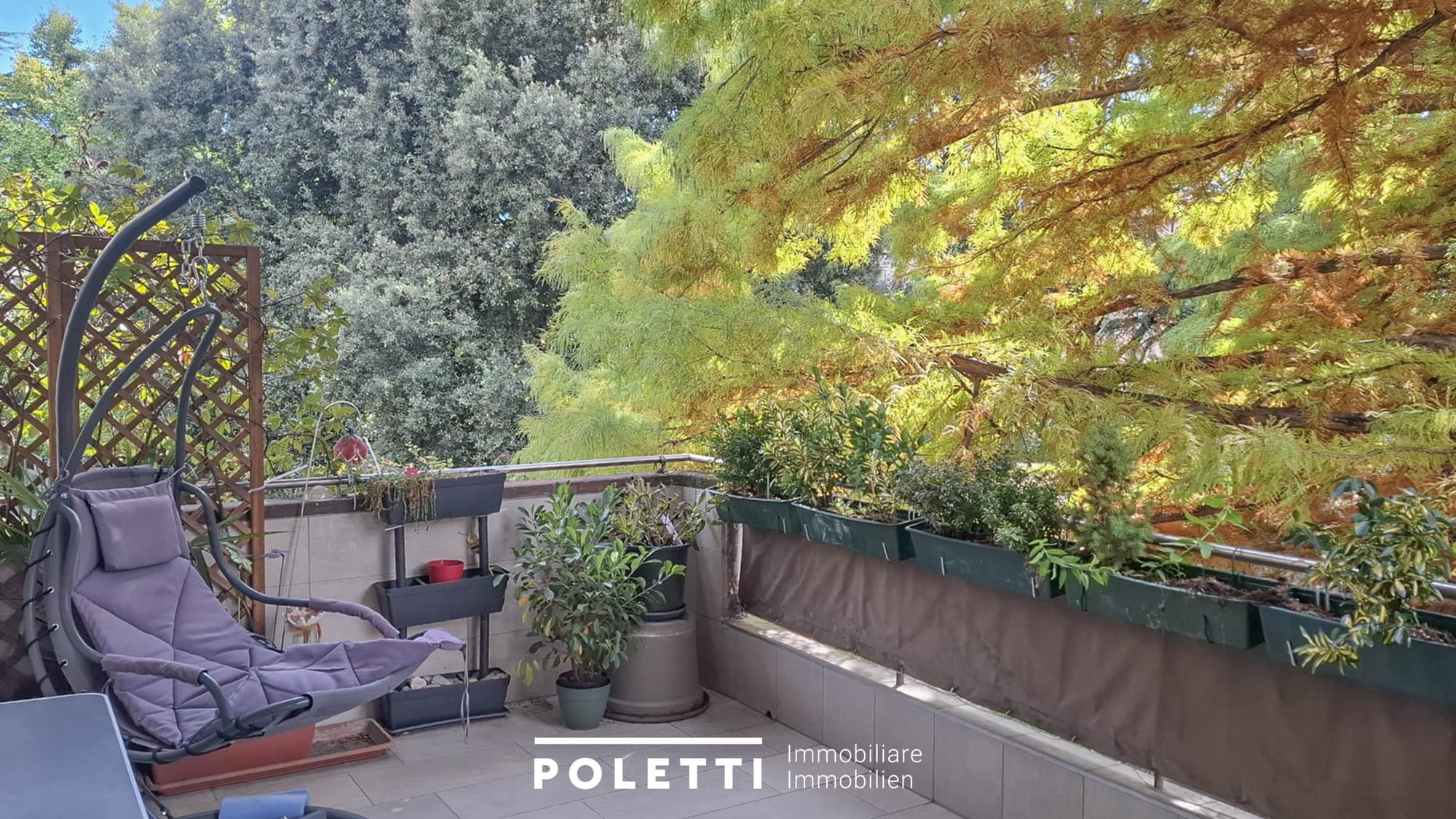 c05c0cfd4199e0222ce73ceba7279c0c bd80314a 9e23 431e 83ff c752897a0e9c-poletti-immo